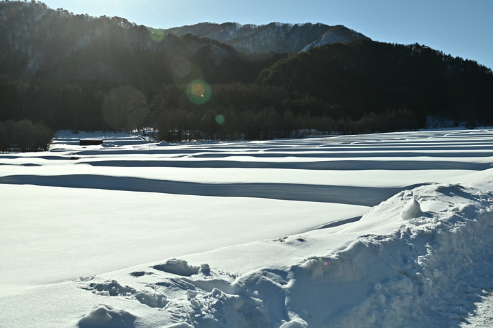 2023 02月 日本東北自駕賞雪遊-藏王、山寺、銀山溫泉、大內宿高倉神社、只見線