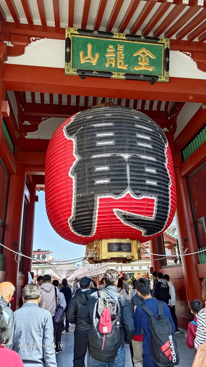 東京賞櫻之旅with zenfone 9