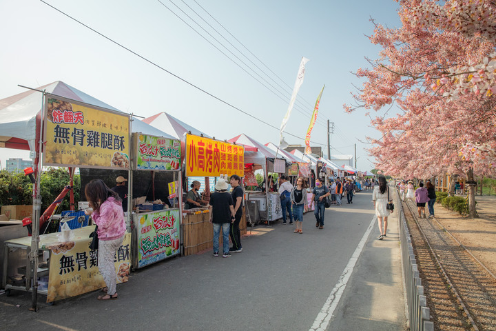 久違的國華街美食、金砂社區盛開的花旗木、宛如立於海上的「生命之樹」藝術造景