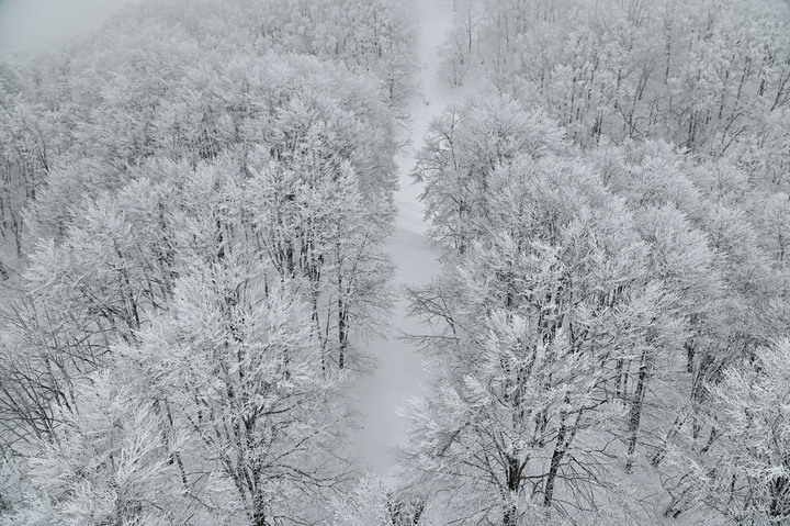 2023 02月 日本東北自駕賞雪遊-藏王、山寺、銀山溫泉、大內宿高倉神社、只見線