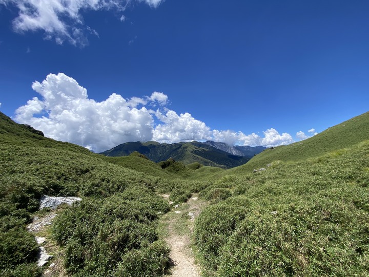 點我看大圖 「瑜伽越野跑」能高主峰 漫遊探訪