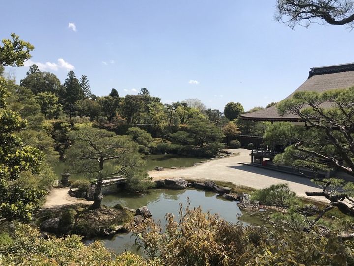 日本/香川和關西廣域/1人自由行/8天7夜(Day5)