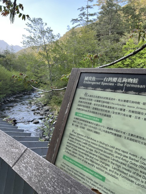 [2023 清明] 🚴🚴 北進武嶺 三日漫騎