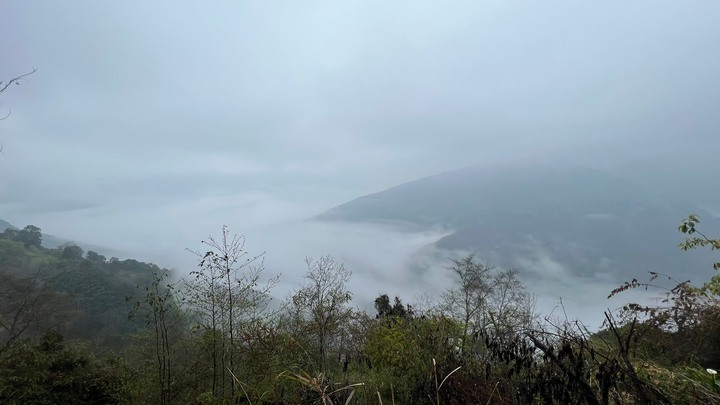 騎士耐森重機旅遊-霧社櫻花花王.萬年峽谷.粉紫菱香木花.長在大石上的榕樹.傾斜寺(太和振興宮).1314觀景台.黃花風鈴木 by Honda X-ADX, GSX-S750, DL650 , SYM Joymax Z300