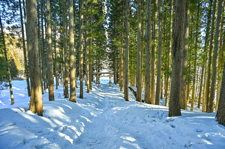 2023 02月 日本東北自駕賞雪遊-藏王、山寺、銀山溫泉、大內宿高倉神社、只見線