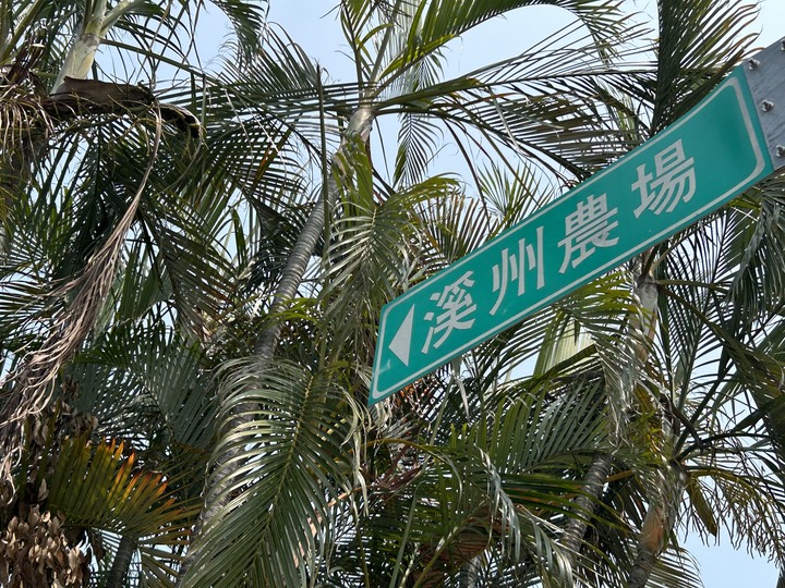 騎 到 溪 州 迓 大 甲 媽