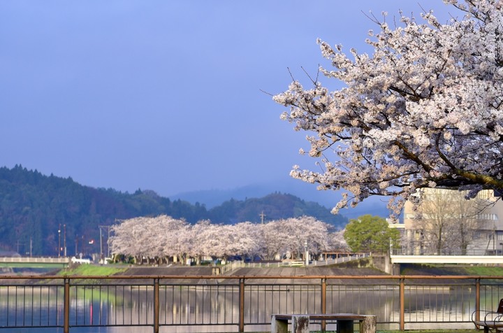 日本北九州旅遊(跟團隨拍)