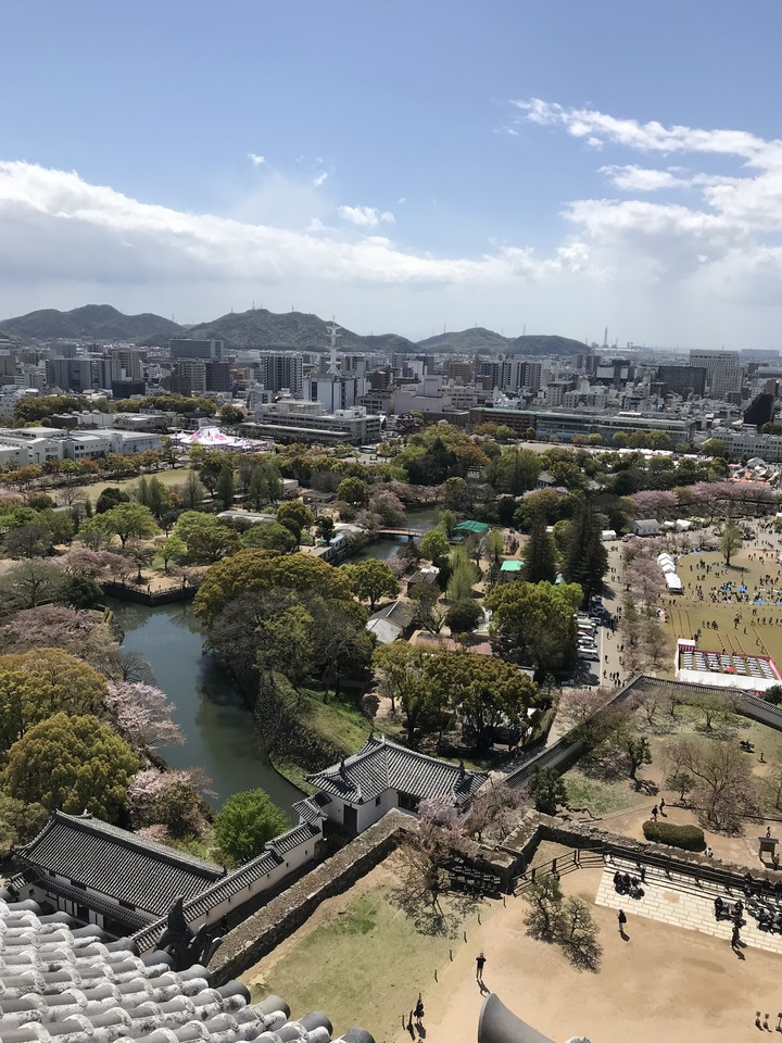 日本/香川和關西廣域/1人自由行/8天7夜(Day3)