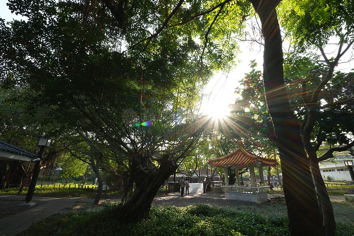 Sigma 17mm f/4 DG DN Contemporary 評測報告｜攝錄通吃 全能超廣角報到！