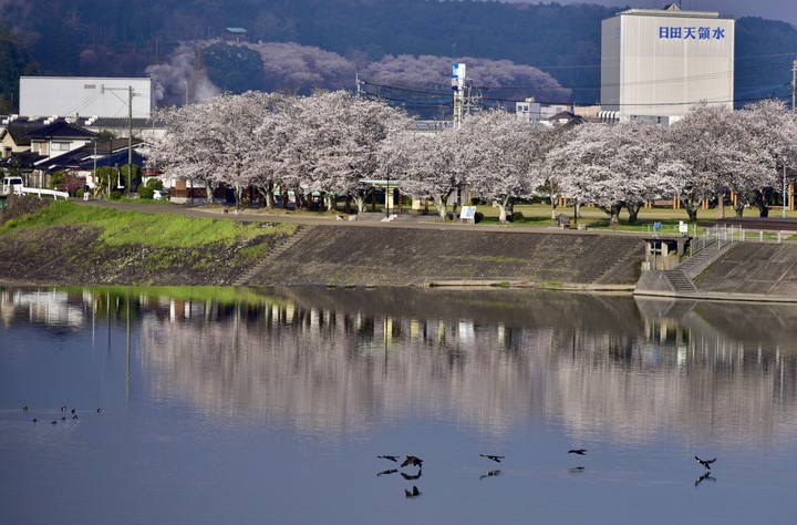 日本北九州旅遊(跟團隨拍)