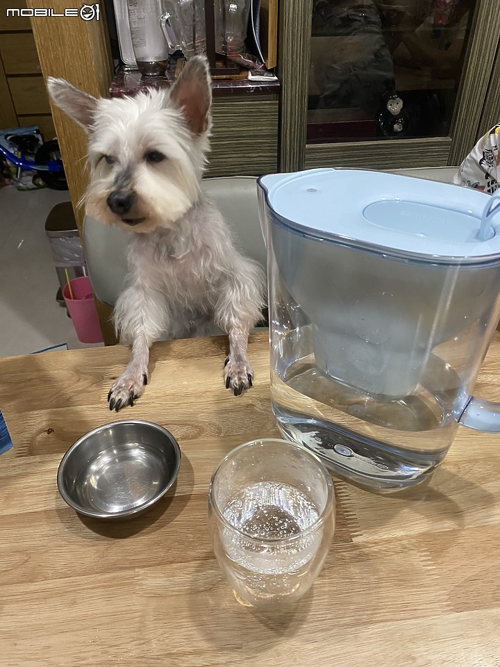 點我看大圖 BRITA ecoStyle環保純淨濾水壺用芯過濾全家喝的每一滴水~簡單喝水也可以很安心
