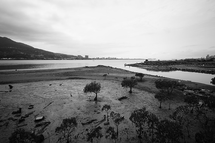 點我看大圖 Sigma 17mm f/4 DG DN Contemporary 評測報告|攝錄通吃 全能超廣角報到!