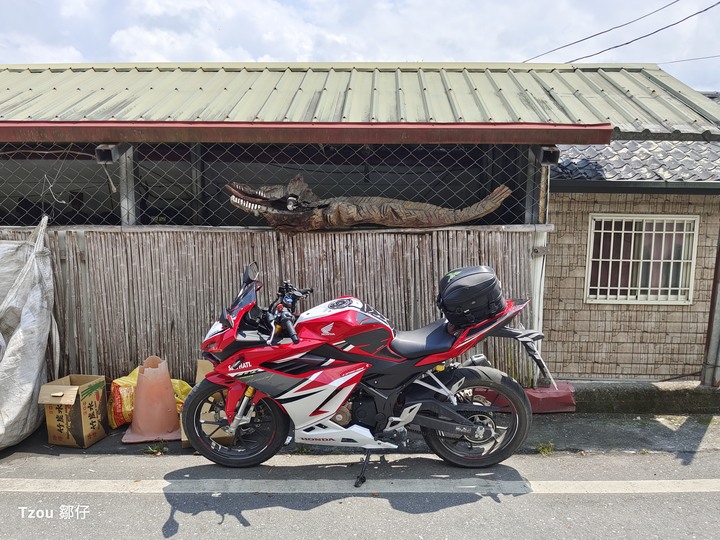 仿仿賽與街車後座包