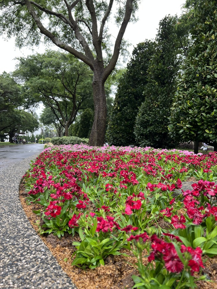 台北一隅 , 清幽古宅 , 花園公園