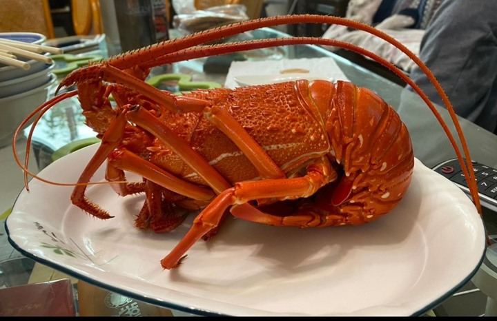 震驚 ！蔥一把25元