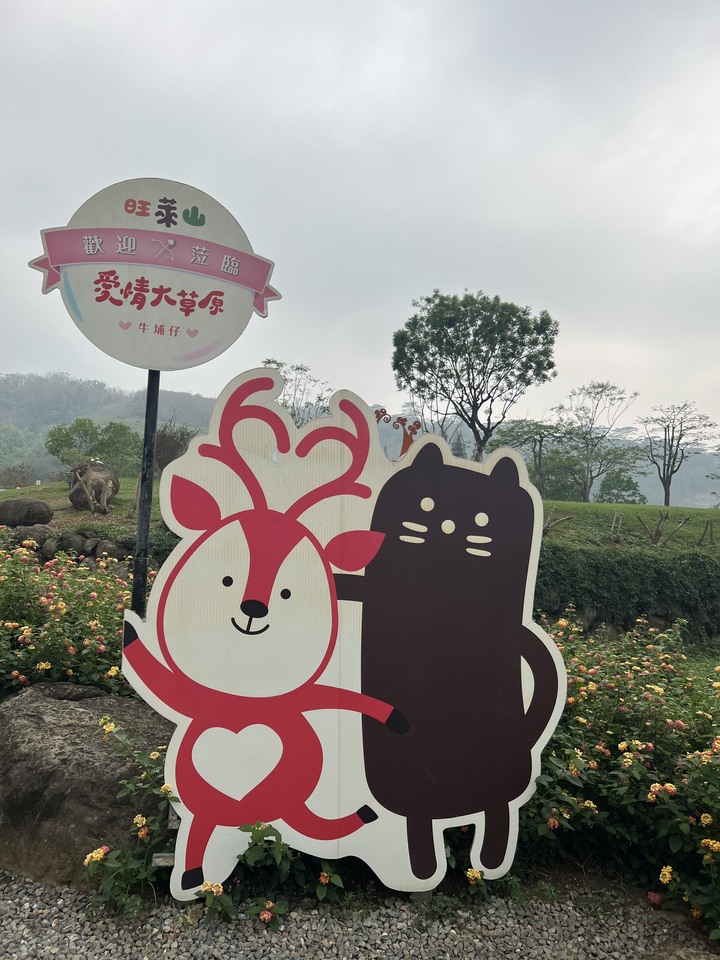 嘉義3D3W北東西路大壯遊