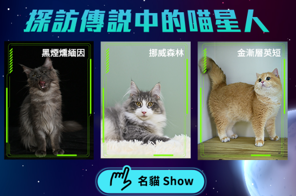 2023展昭高雄寵物展0421~0424