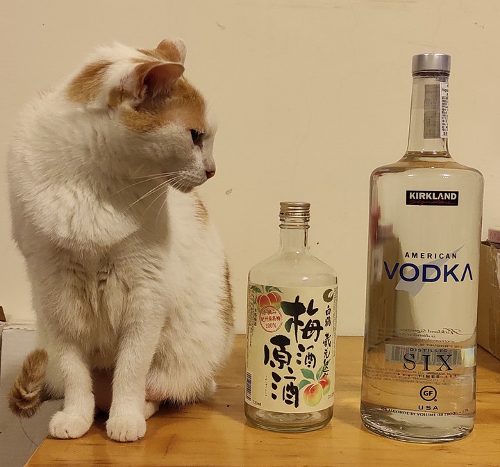 請問浸泡梅子酒的比例
