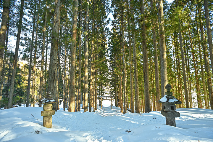 2023 02月 日本東北自駕賞雪遊-藏王、山寺、銀山溫泉、大內宿高倉神社、只見線