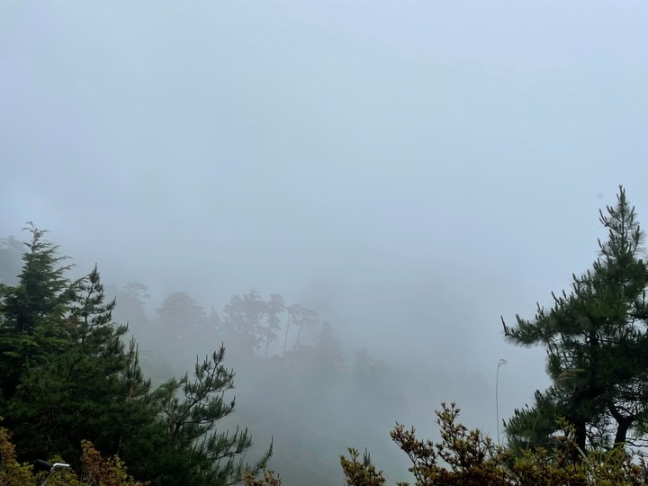 【台灣百岳】雨天登奇萊南峰可以嗎? 初心者爬百岳首選之一!