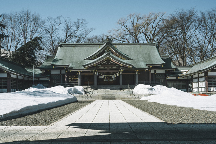 3月的北海道，雪要融不融的跟團行