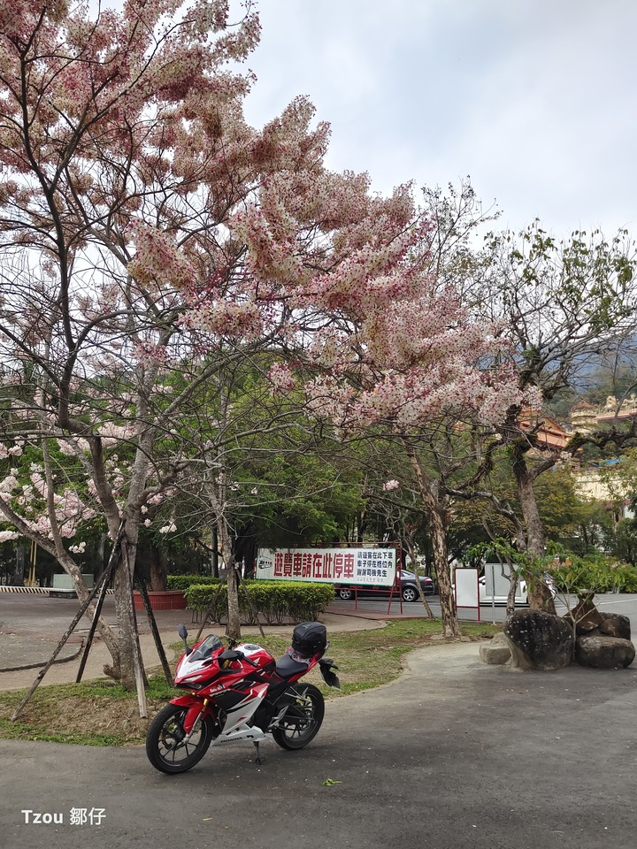 臨界邊際（二）－－原民樂舞祭典與陶醉浪人~邹仔