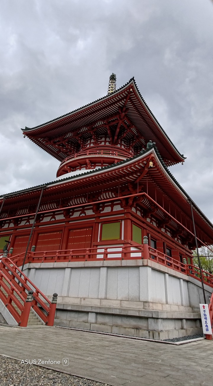 東京賞櫻之旅with zenfone 9
