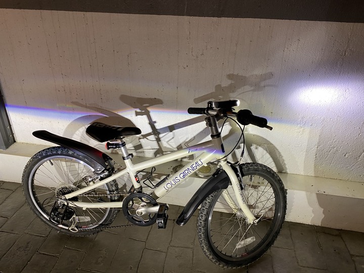 時間的沈澱不會抹滅經典：LGS J206童車整理記