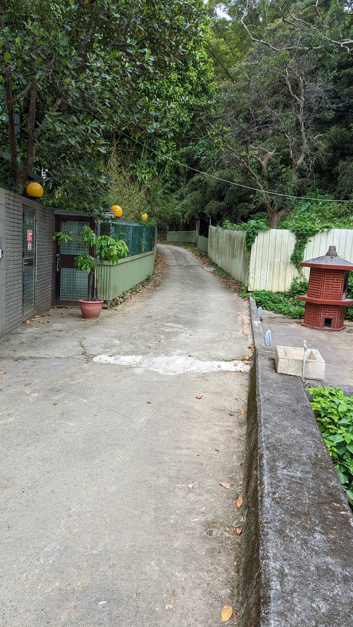 在四月底看五月雪 - 大坑桐花步道 & 桃林鐵路自行車步道一日遊