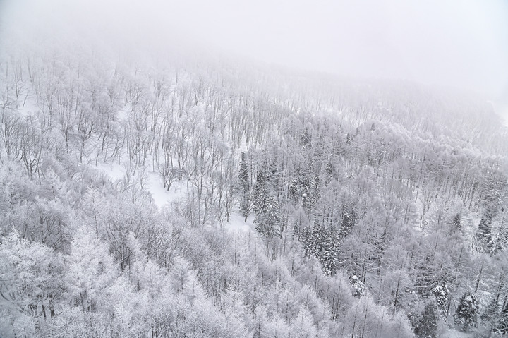 2023 02月 日本東北自駕賞雪遊-藏王、山寺、銀山溫泉、大內宿高倉神社、只見線