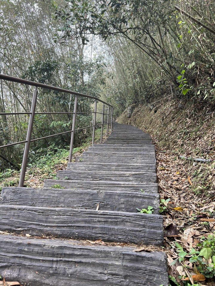 嘉義3D3W北東西路大壯遊