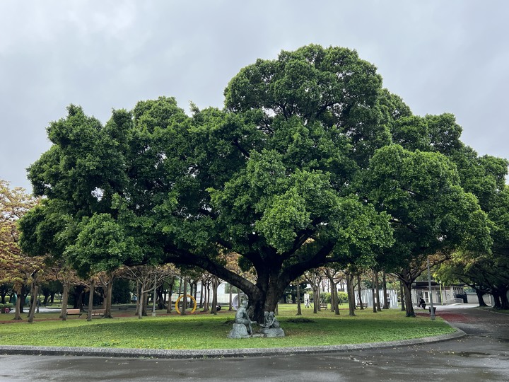 台北一隅 , 清幽古宅 , 花園公園