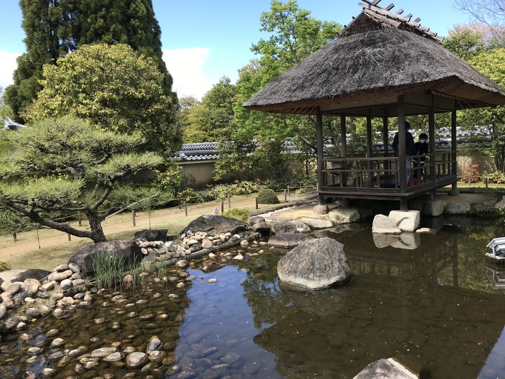 日本/香川和關西廣域/1人自由行/8天7夜(Day3)