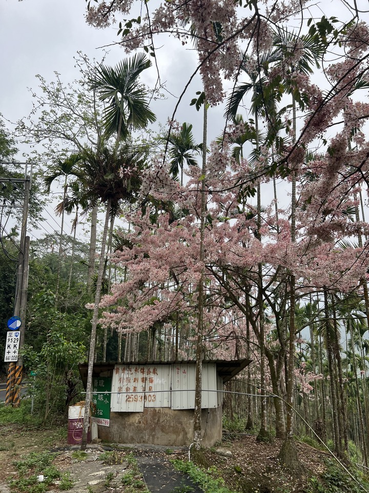 嘉義3D3W北東西路大壯遊