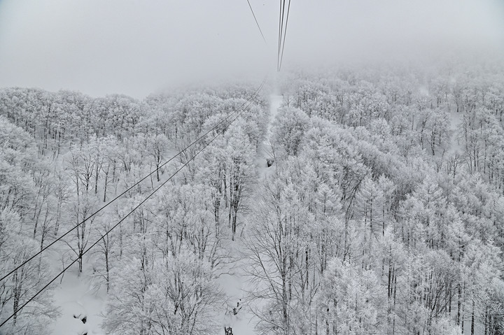 2023 02月 日本東北自駕賞雪遊-藏王、山寺、銀山溫泉、大內宿高倉神社、只見線