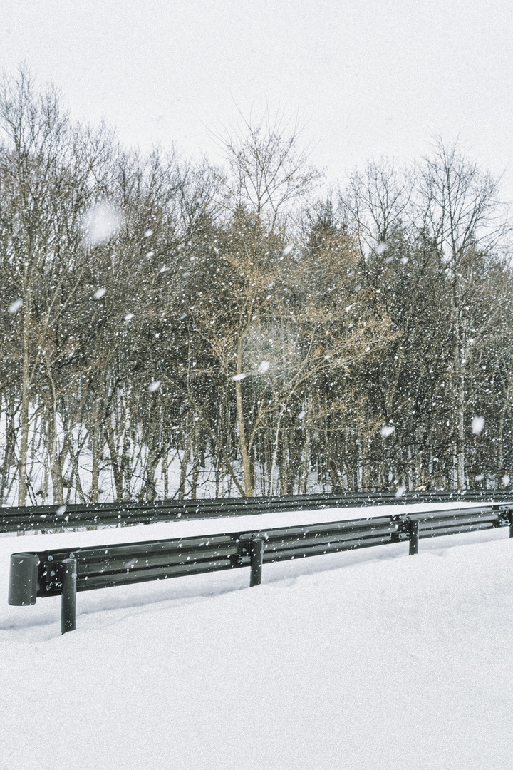 3月的北海道，雪要融不融的跟團行