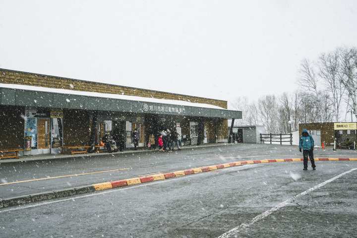3月的北海道，雪要融不融的跟團行