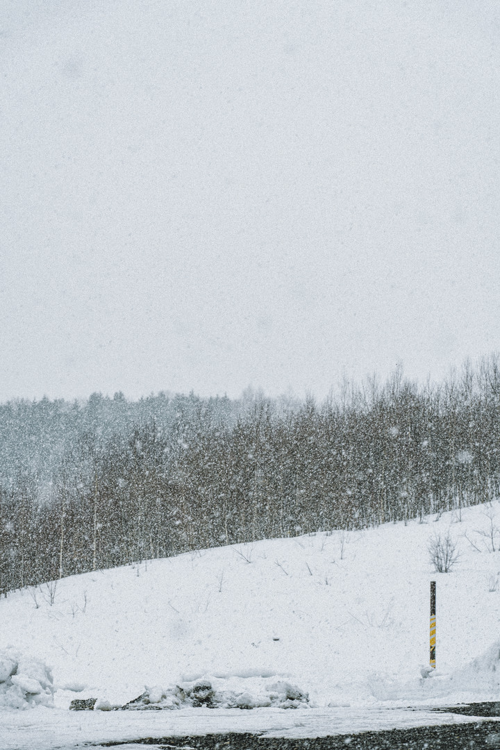 3月的北海道，雪要融不融的跟團行