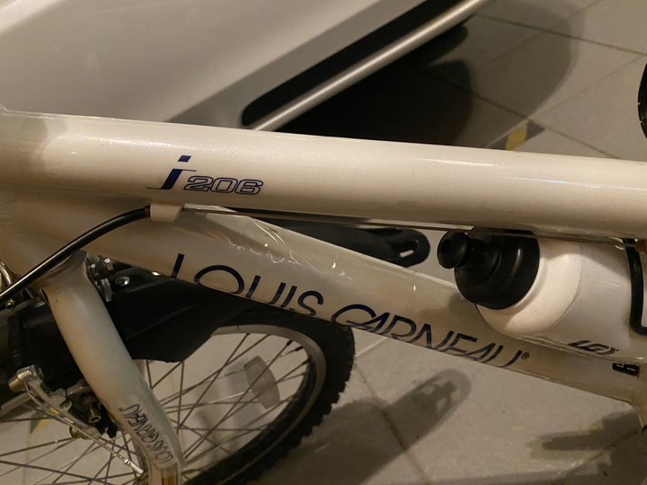 時間的沈澱不會抹滅經典：LGS J206童車整理記