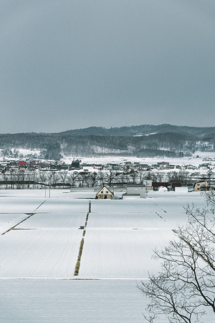 3月的北海道，雪要融不融的跟團行