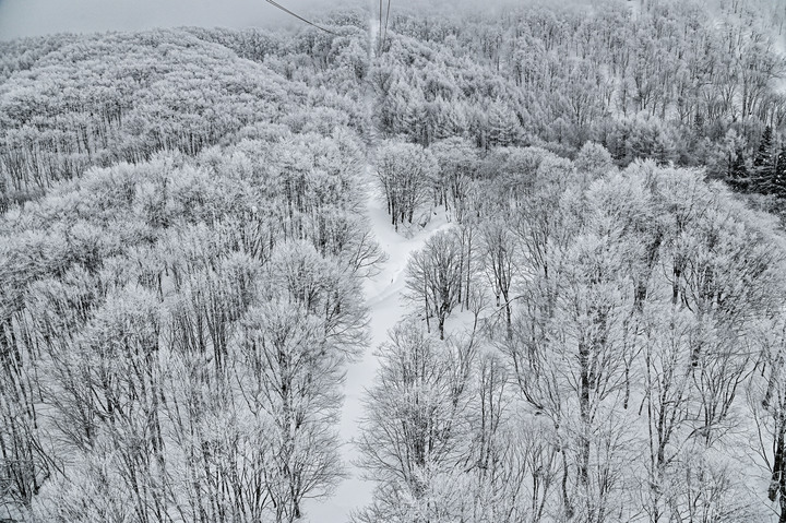 2023 02月 日本東北自駕賞雪遊-藏王、山寺、銀山溫泉、大內宿高倉神社、只見線
