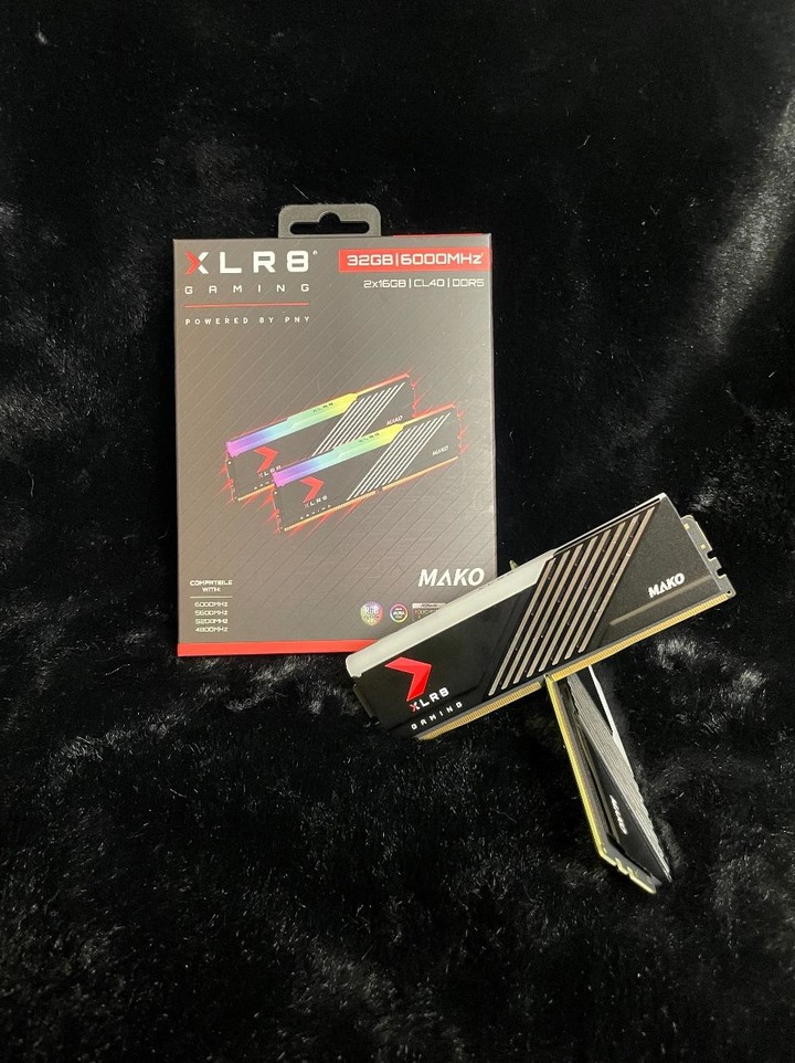 簡單開箱PNY DDR5 MAKO 6000
