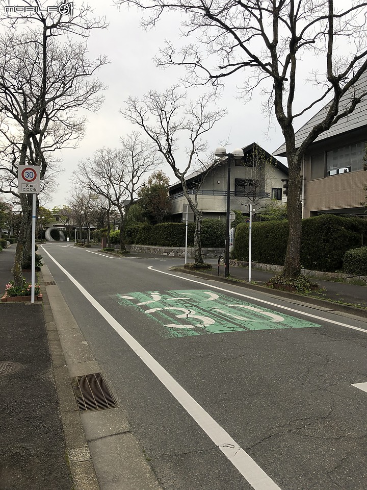 點我看大圖 日本道路見聞