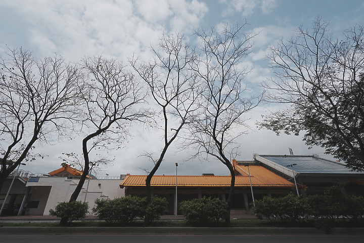點我看大圖 Sigma 17mm f/4 DG DN Contemporary 評測報告|攝錄通吃 全能超廣角報到!