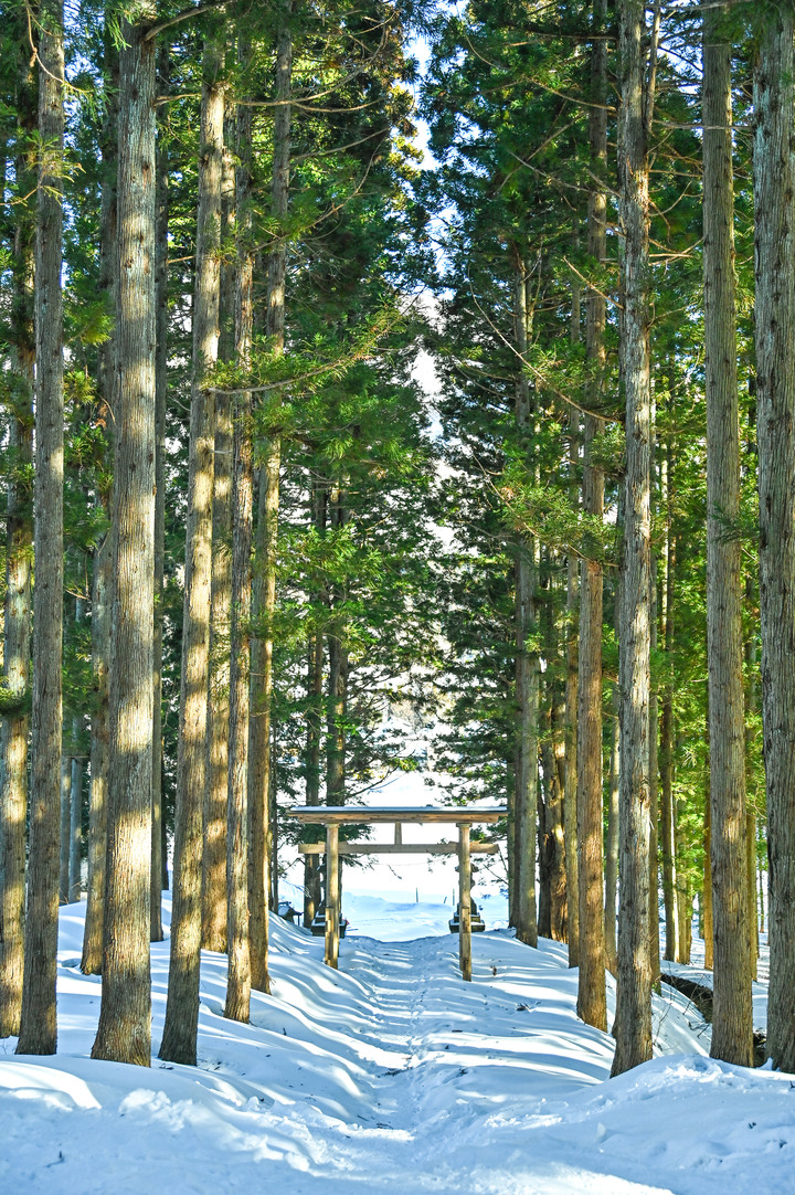 2023 02月 日本東北自駕賞雪遊-藏王、山寺、銀山溫泉、大內宿高倉神社、只見線