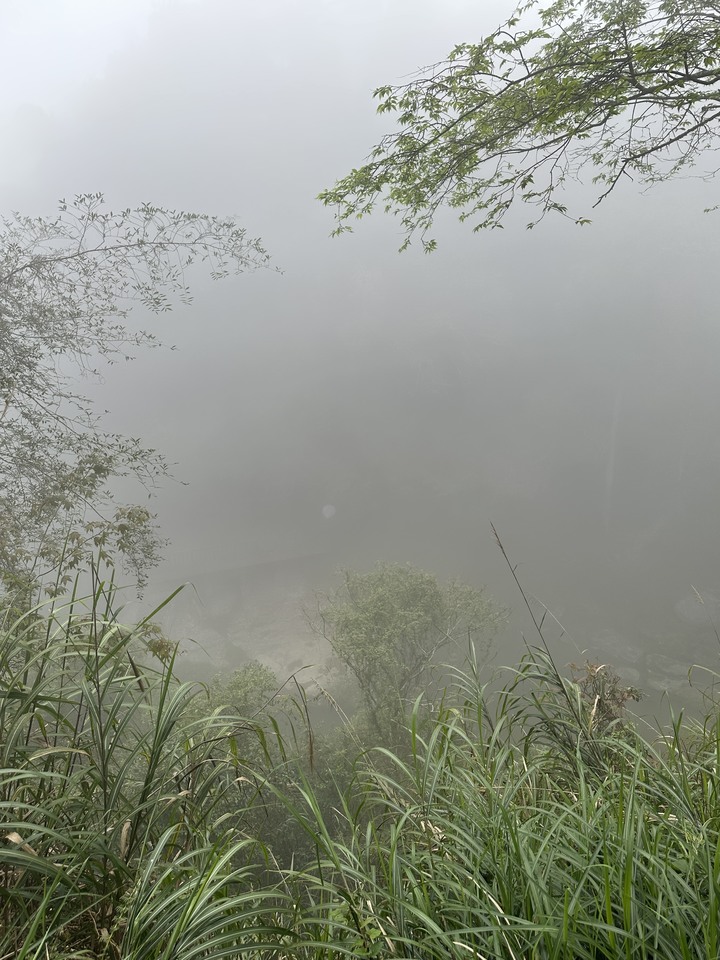 走訪杉林溪步道