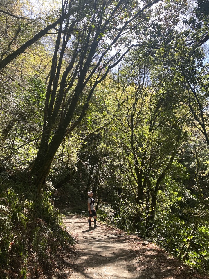 點我看大圖 「瑜伽越野跑」能高主峰 漫遊探訪