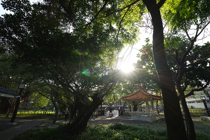 Sigma 17mm f/4 DG DN Contemporary 評測報告｜攝錄通吃 全能超廣角報到！