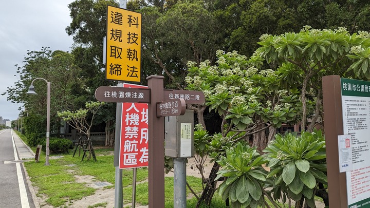 在四月底看五月雪 - 大坑桐花步道 & 桃林鐵路自行車步道一日遊