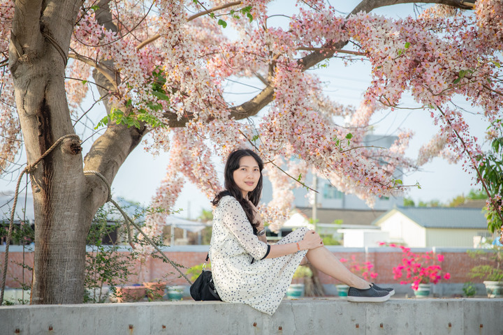 久違的國華街美食、金砂社區盛開的花旗木、宛如立於海上的「生命之樹」藝術造景